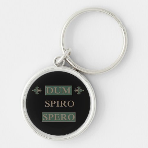 Dum spiro spero keychain