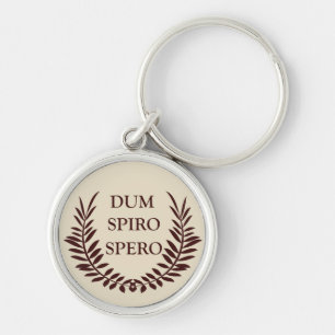 Dum spiro spero keychain