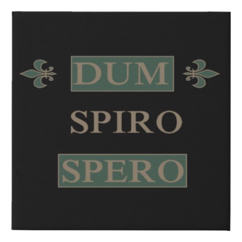 dum spiro spero latin phrases about life faux canvas print