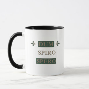 Dum spiro spero mug