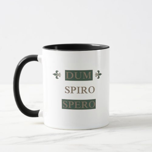 Dum spiro spero mug