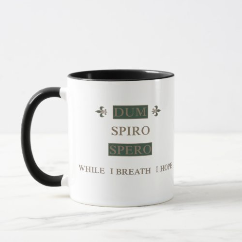 Dum spiro spero mug