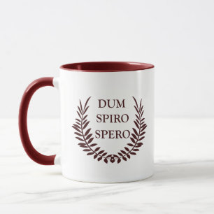 Dum spiro spero mug