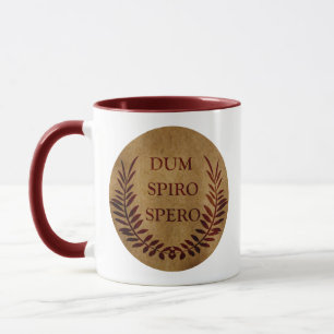 Dum spiro spero mug