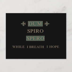 Dum spiro spero postcard