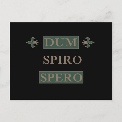 Dum spiro spero postcard