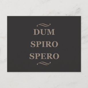 Dum spiro spero postcard