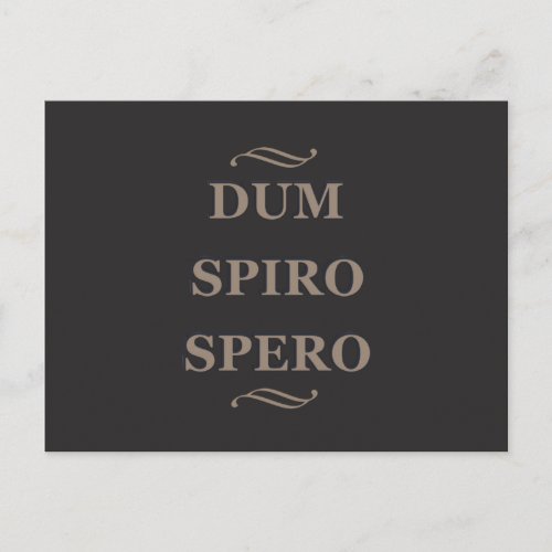 Dum spiro spero postcard