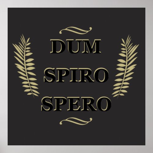 Dum spiro spero poster