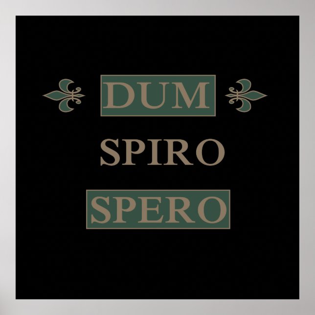Dum spiro spero poster (Front)