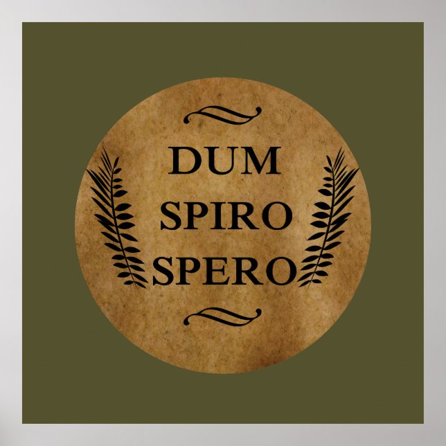 Dum spiro spero poster (Front)