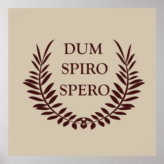 Dum spiro spero poster (Front)