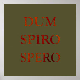 Dum spiro spero poster