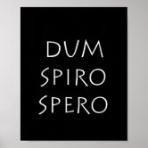 Dum Spiro Spero - Latin phrase meaning While I Breathe, I Hope Hardcover  Journal for Sale by Be-A-Warrior