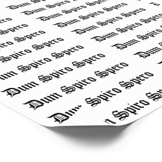 Dum Spiro Spero Temporary Tattoos (Angled)