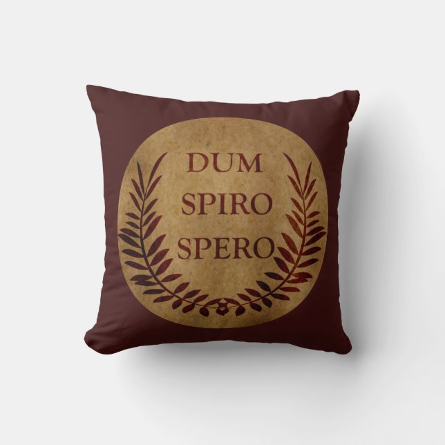 Dum spiro spero throw pillow (Front)