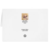 Duma (Cheetah) Cards (Back Horizontal)