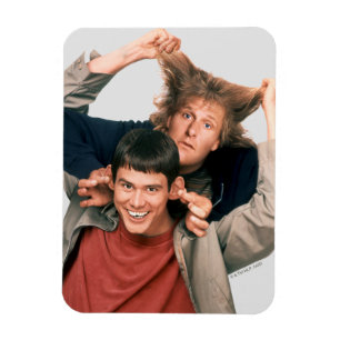 Dumb and Dumber Lloyd and Harry Magnet