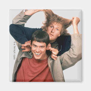 Dumb and Dumber Lloyd and Harry Magnet