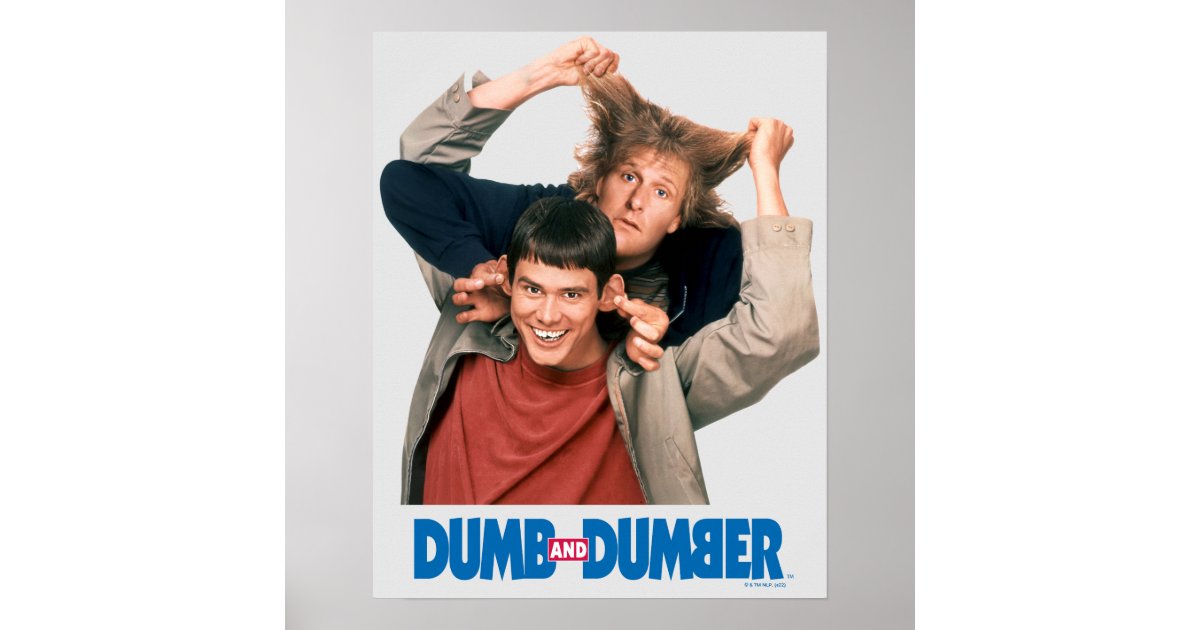 dumb and dumber to poster