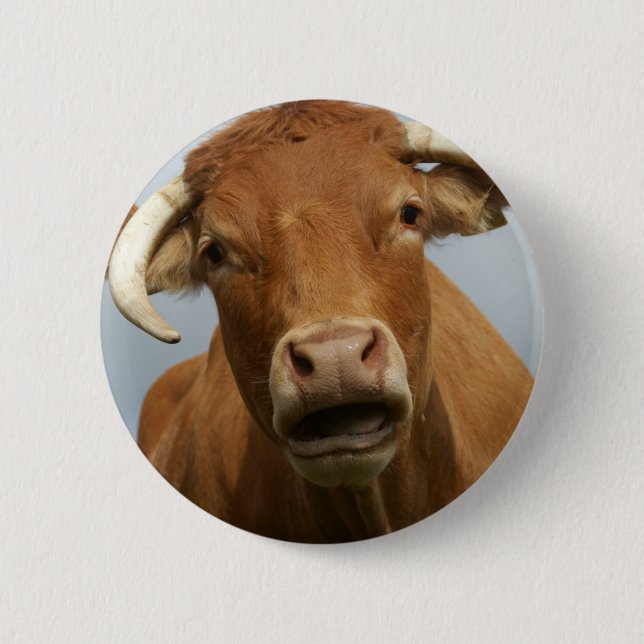 dumb pinback button (Front)