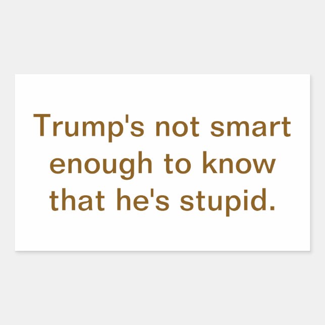 Dumb Stupid Trump's Not Smart Hankamer Artjunkhaus Rectangular Sticker (Front)