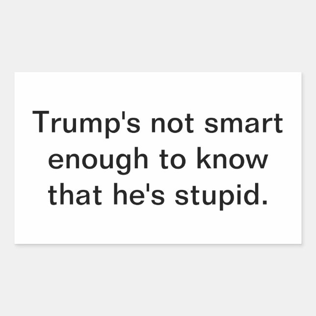 Dumb Stupid Trump's Not Smart Hankamer Artjunkhaus Rectangular Sticker (Front)