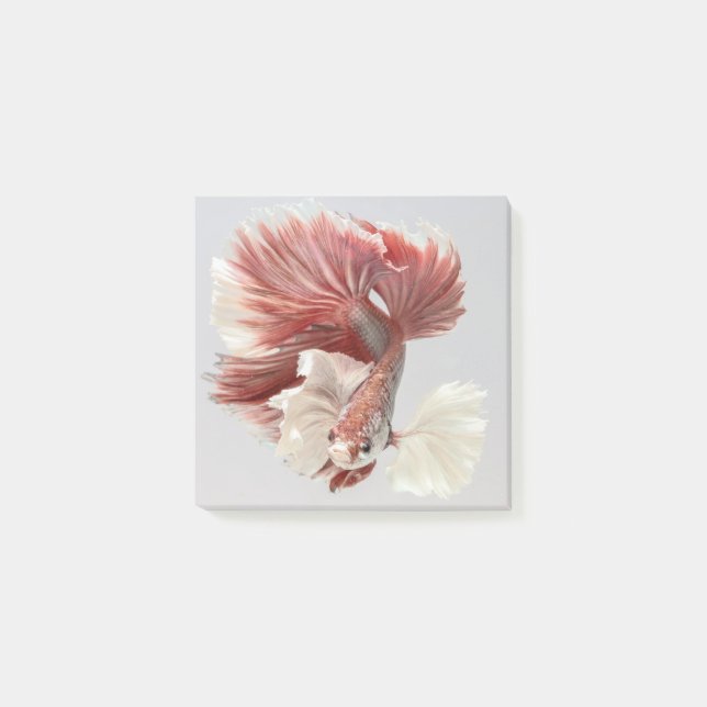 Dumbo Betta Fish Post It Notes (Front)