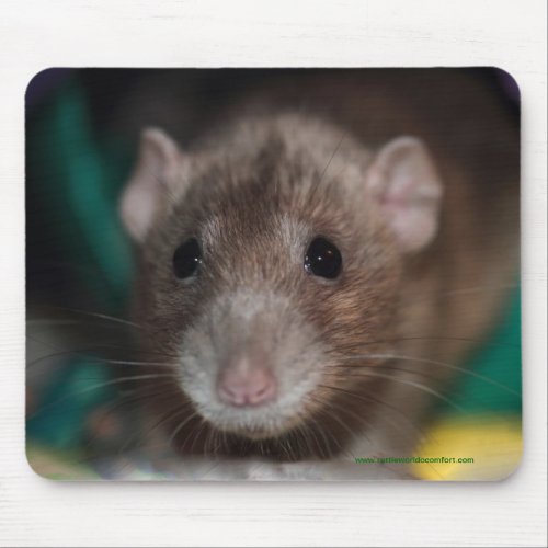 Dumbo Fancy Rat Mousepad