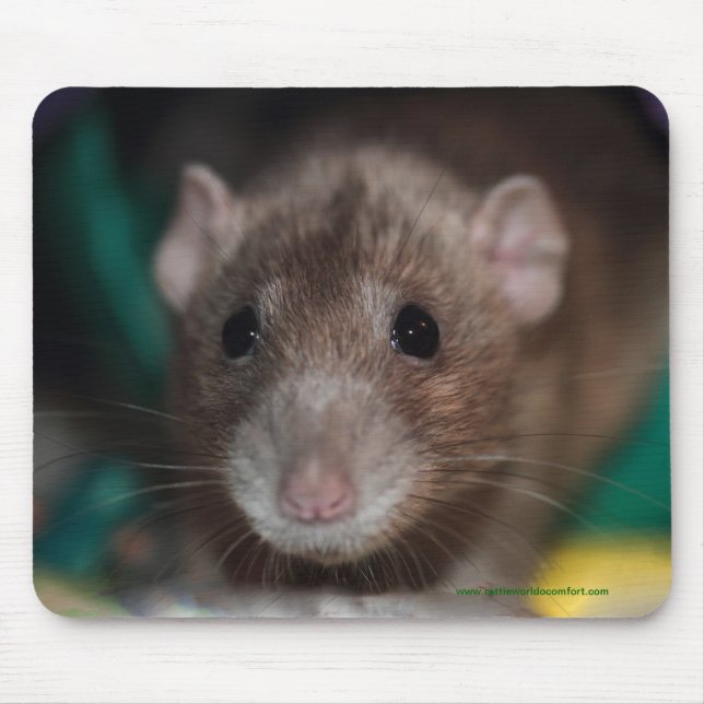 Dumbo Fancy Rat Mousepad (Front)