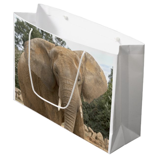 Dumbo Gift Bag (Front Angled)