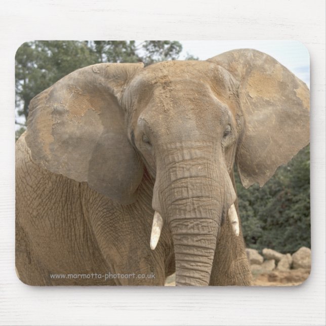 Dumbo Mousemat Mouse Pad (Front)