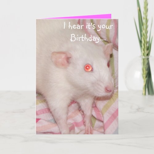 Dumbo rat Birthday card
