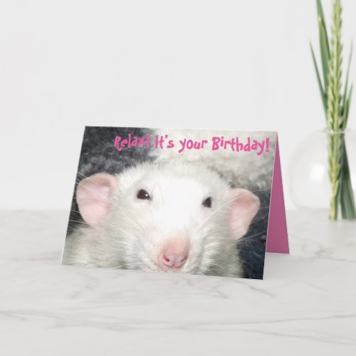 Dumbo rat birthday card