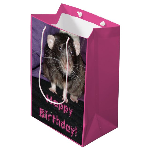 Dumbo rat Birthday gift bag (Front Angled)
