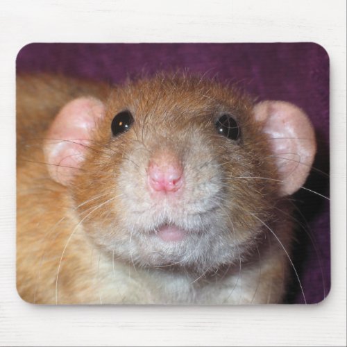 Dumbo Rat Mousepad