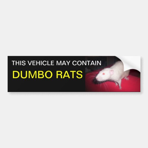 Dumbo rats bumper sticker
