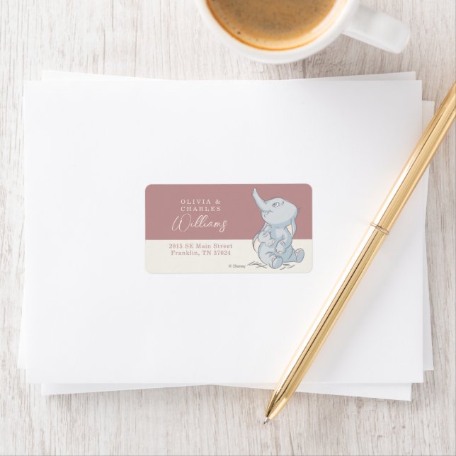 Dumbo & Stork | Over the Moon - Girl Baby Shower Label (Insitu)