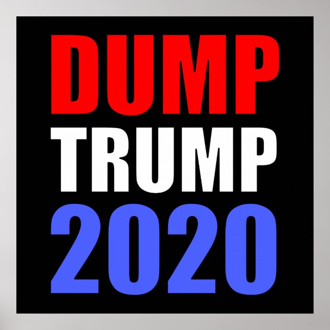 Dump Trump 2020 Anti-Trump Poster (Front)