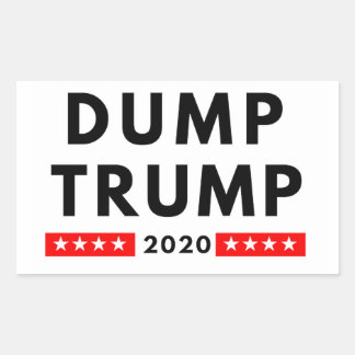 Dump Trump 2020 rectangle stickers