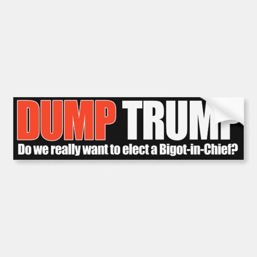 DUMP TRUMP _ Do we really want a Bigot_in_Chief _  Bumper Sticker