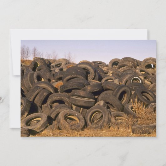 Dumped old tyres (Front)