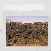 Dumped old tyres (Front/Back)