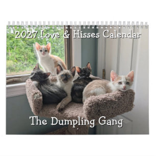 Dumpling Gang: Love & Hisses 2027 Calendar