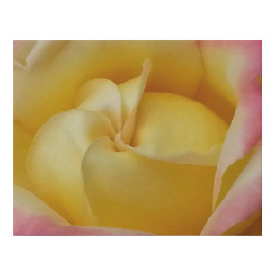 Dumpling Rose Faux Canvas Print
