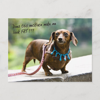 Dumpling Shows of Her Gems Postcard