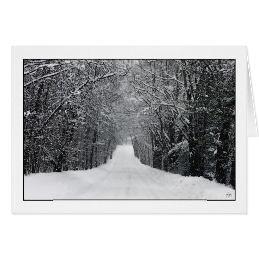 Dumprun Snowstorm Cards (Front Horizontal)