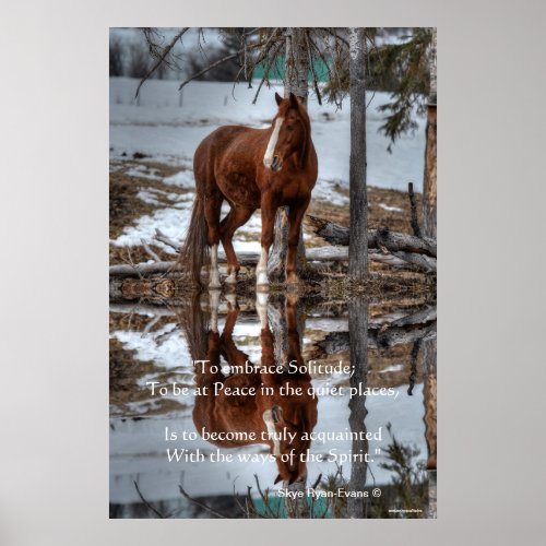 Dun Ranch Horse At Drinking Hole Equine Photo Poster