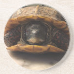 duncan coaster<br><div class="desc">duncan coaster</div>