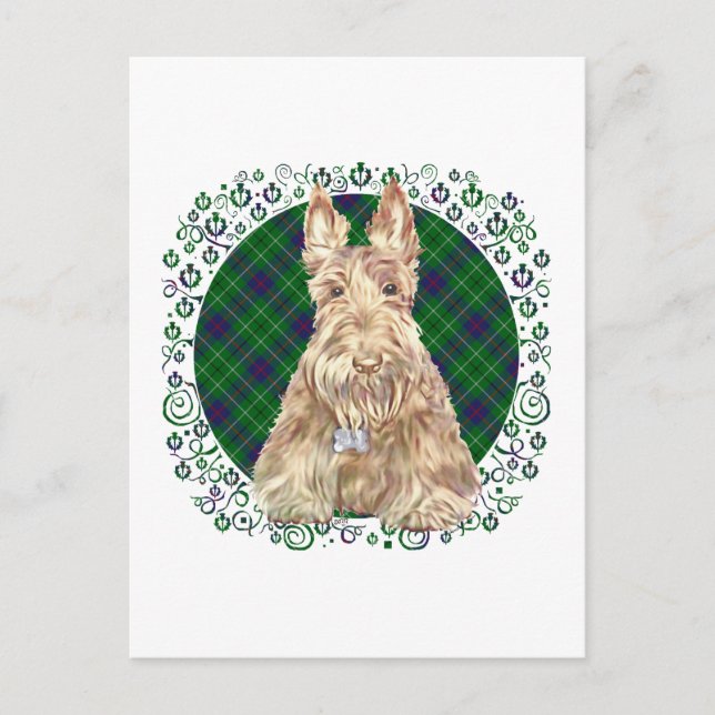 Duncan Tartan Scottie Postcard (Front)